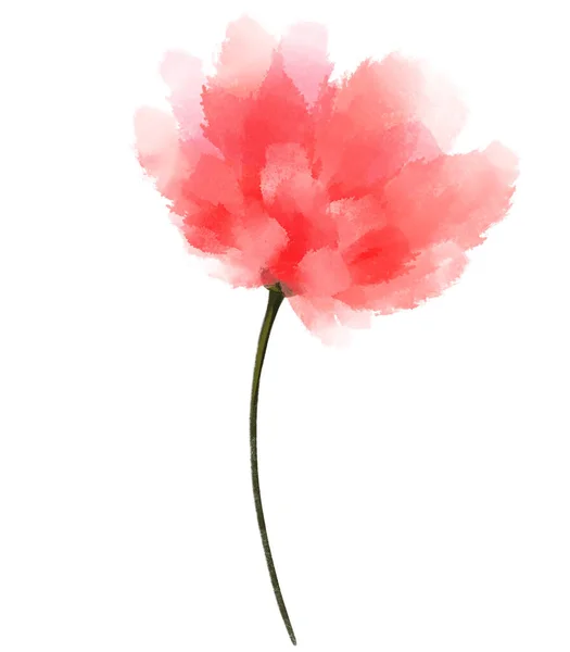 Fleur Aquarelle Abstraite Fleur Rouge Dessinée Main — Photo