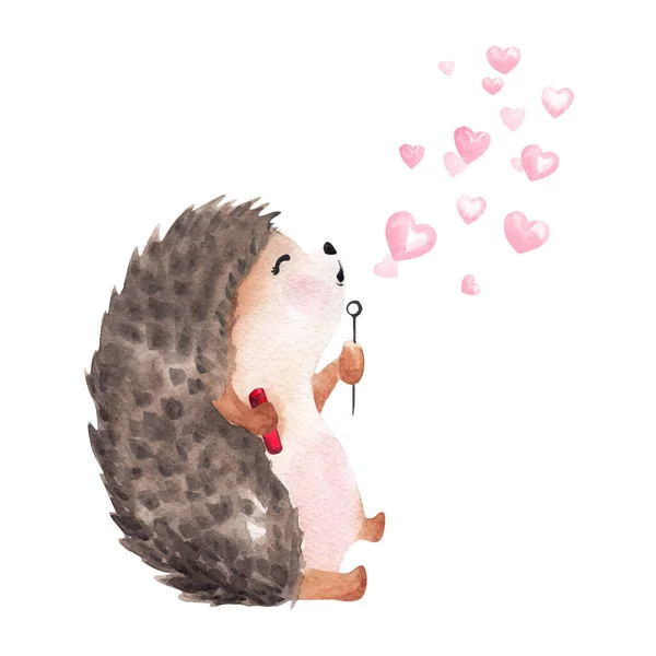 Χειροποίητο Ακουαρέλα Σκαντζόχοιρος Φυσάει Φυσαλίδες Σχήμα Καρδιάς — Φωτογραφία Αρχείου