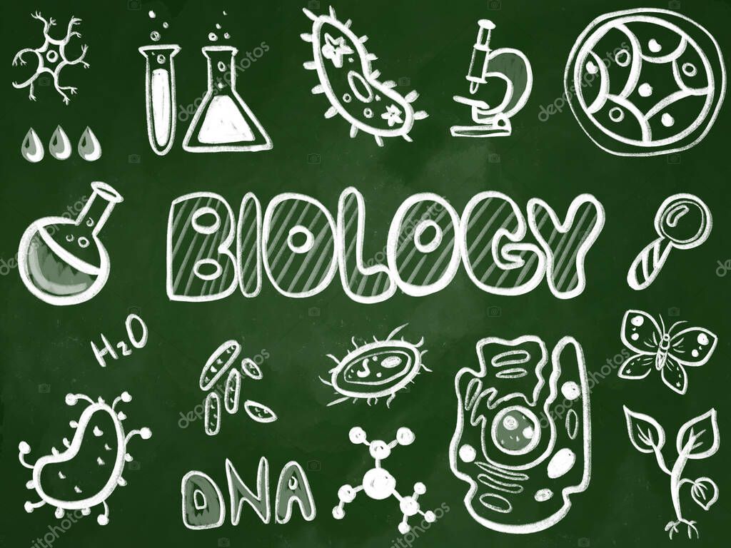 Biology icons on chalkboard. Biology education
