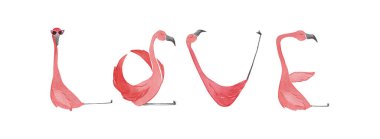 El yapımı suluboya flamingolar. Flamingo aşk işareti harfleri