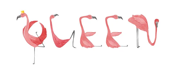 Hand drawn watercolor flamingos. Flamingo Queen lettering