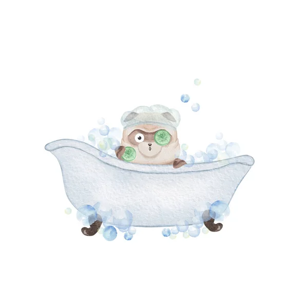 Pug Che Bagno Illustrazione Acquerello Disegnato Mano — Foto Stock