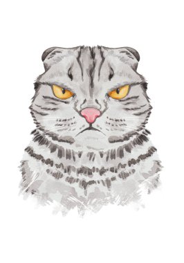 Huysuz kedi portresi. Suluboya el çizimi kedi çizimi serisi