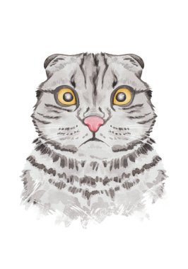 Şaşırmış kedi portresi. Suluboya el çizimi kedi çizimi serisi
