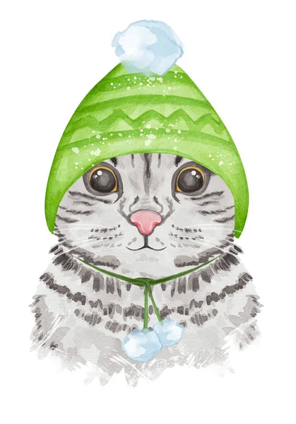모자쓴 귀여운 고양이 수채화가 그려진 고양이 시리즈 — 스톡 사진