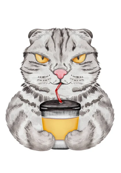 Gato Engraçado Com Xícara Café Série Ilustração Gato Desenhado Mão — Fotografia de Stock