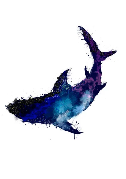 Requin Abstrait Aquarelle Requin Éclaboussure — Photo