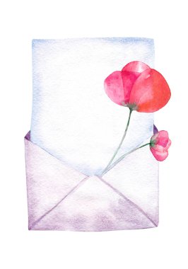 El çizimi suluboya zarf ve beyaz arka planda saklanmış haşhaş çiçeği