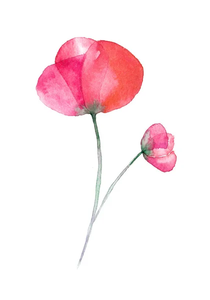 Belle Aquarelle Dessinée Main Coquelicot Isolé Sur Fond Blanc — Photo