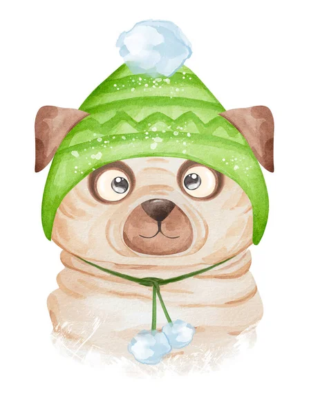 Lindo Perrito Sombrero Invierno Acuarela Cachorro Dibujado Mano Perro Ilustración — Foto de Stock