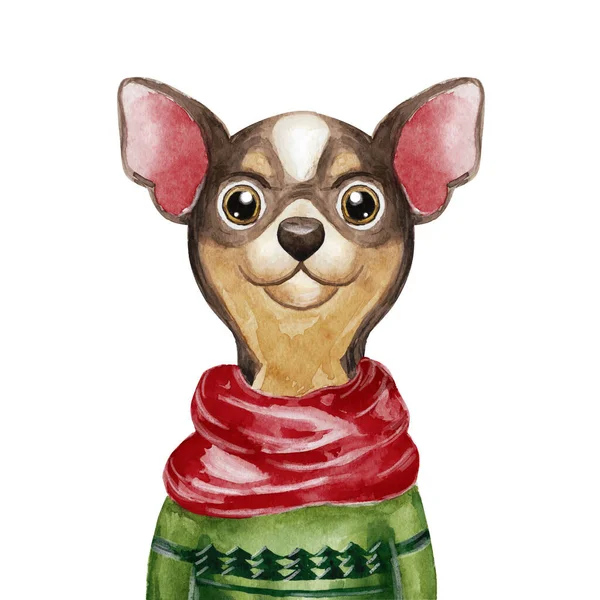 Watercolor Chihuahua Dog Sweater Chinese New Year Dog Christmas Greeting — Stock Photo, Image