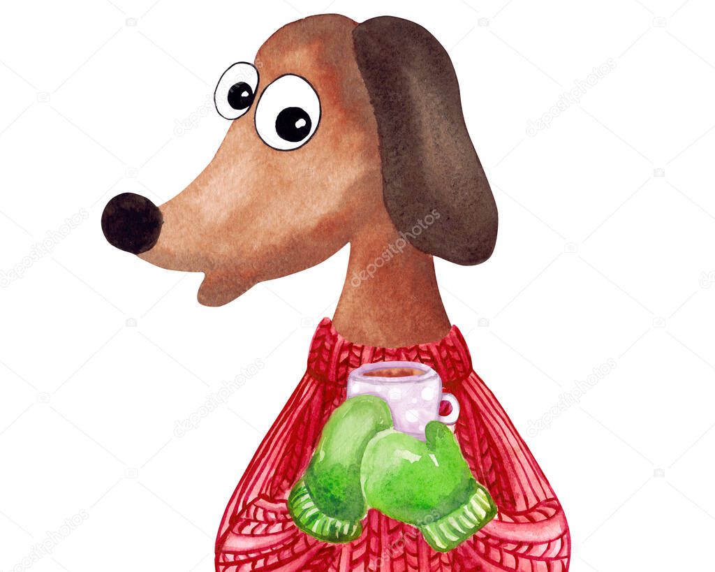 Watercolor Dachshund dog in sweater. Chinese New Year of the dog. Christmas greeting card