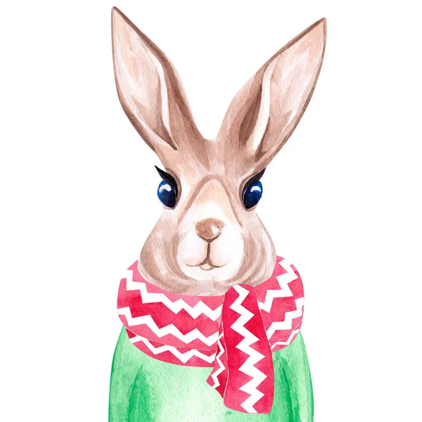 Watercolor Portrait Rabbit Scarf Sweater Winter Print Children Illustration — Stock Photo, Image