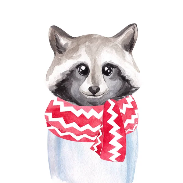 Watercolor Portrait Raccoon Scarf Sweater Winter Print Children Illustration — Stock Photo, Image