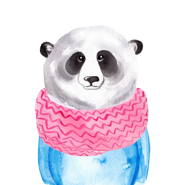 スカーフやセーターのパンダの水彩画の肖像画 冬の印刷 子供のイラスト — ストック写真