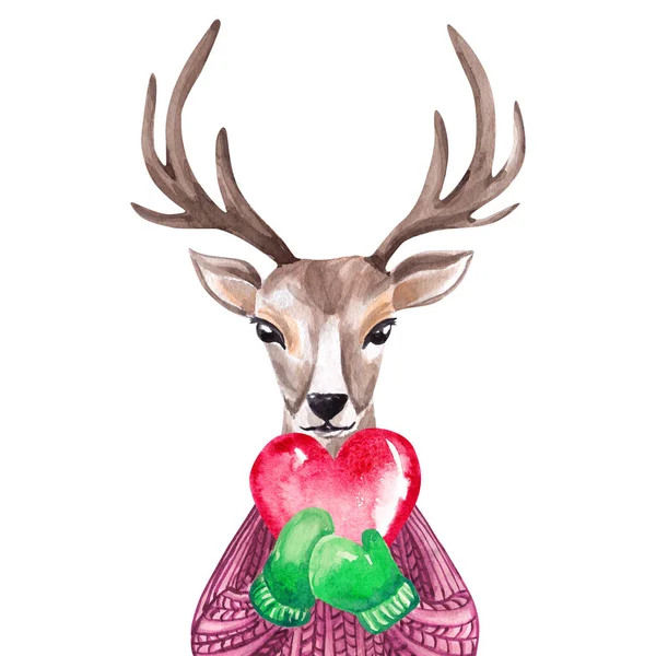 披着羊毛衫的鹿的水彩画 冬季印刷品 儿童插图 — 图库照片
