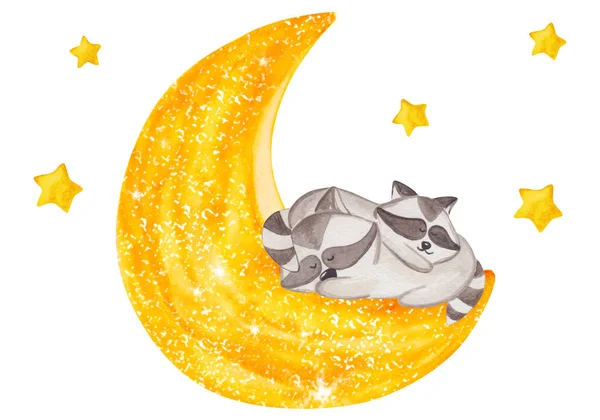 Μικρά Ρακούν Κοιμούνται Στο Φεγγάρι Χαριτωμένη Εικόνα Ακουαρέλα — Φωτογραφία Αρχείου