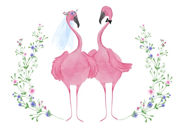 Noiva Feliz Flamingo Noivo Ilustração Aquarela — Fotografia de Stock
