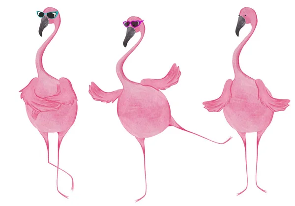 Conjunto Aquarela Flamingos Três Amigos Flamingo — Fotografia de Stock