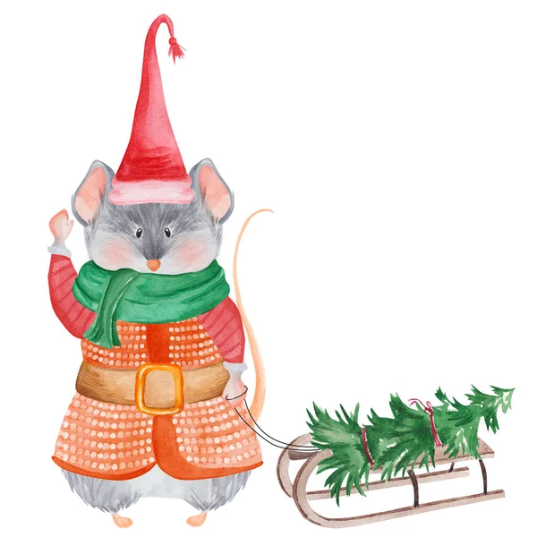 Akvarell Patkány Karácsonyi Jelmezben Szánkóval Karácsonyfával 2020 Kínai Patkány Újév — Stock Fotó