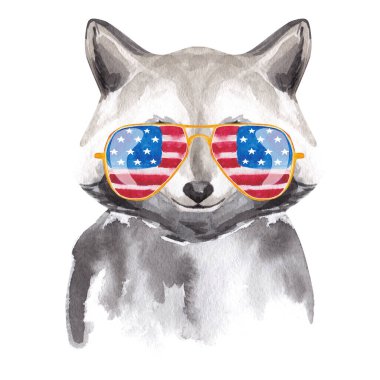 Güneş gözlüklü şirin suluboya rakun ve Amerikan bayrağı.