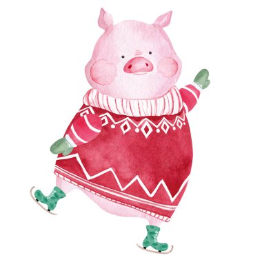 Süveter ve patenli suluboya domuz. 2019 Çin Yeni Yılı. Noel tebrik kartı.