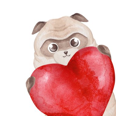 Pug büyük kırmızı bir kalp tutuyor. Suluboya çocuk resimleri