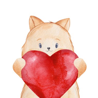 Kocaman kırmızı bir kalp tutan bir kedi. Suluboya çocuk resimleri