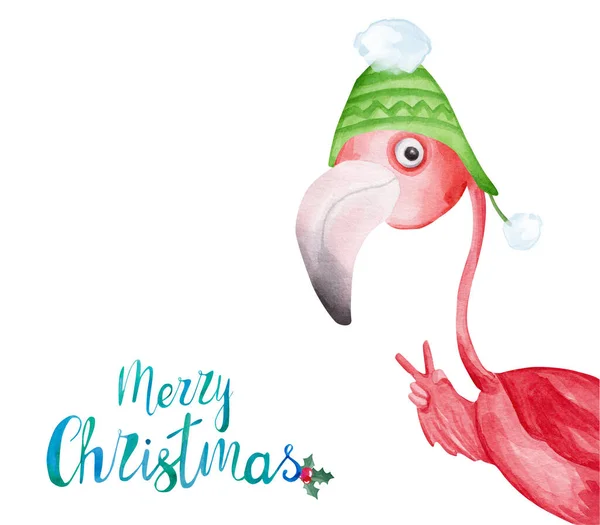 头戴冬帽的水彩火烈鸟圣诞快乐贺卡 — 图库照片