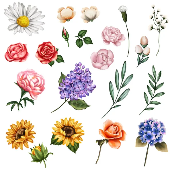 Elemety Kwiatowe Twojego Projektu Ręcznie Rysowane Elementy Kwiatów — Zdjęcie stockowe