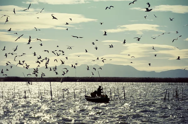 Fischer, die von seinem Boot aus arbeiten und Möwen — Stockfoto