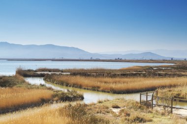 Ebro Nehri'nin Tabiat Parkı