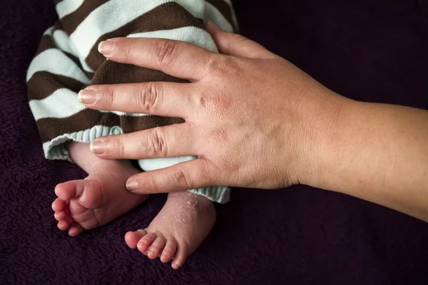 Newborn — Stock Photo, Image