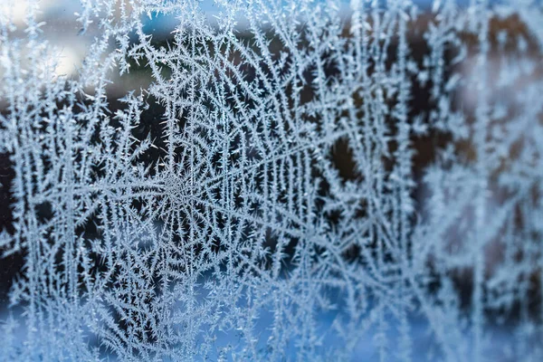 Frosty Spindelväv Mönster Transparent Glas Närbild — Stockfoto