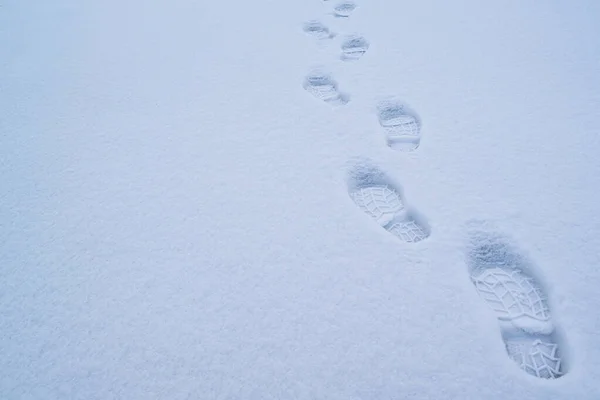 Footsteps on the snow-white snow at dusk