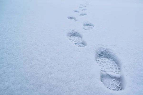 Fresh footsteps on the snow-white snow at dusk