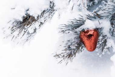 Çilekli Noel oyuncağı ladin dalında. Yakın plan..