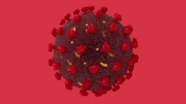 COVID-19 Coronavirus 'un gerçekçi 3d' lik hareketli kusursuz dönüş hücresi. Alfa kanallı görüntüler