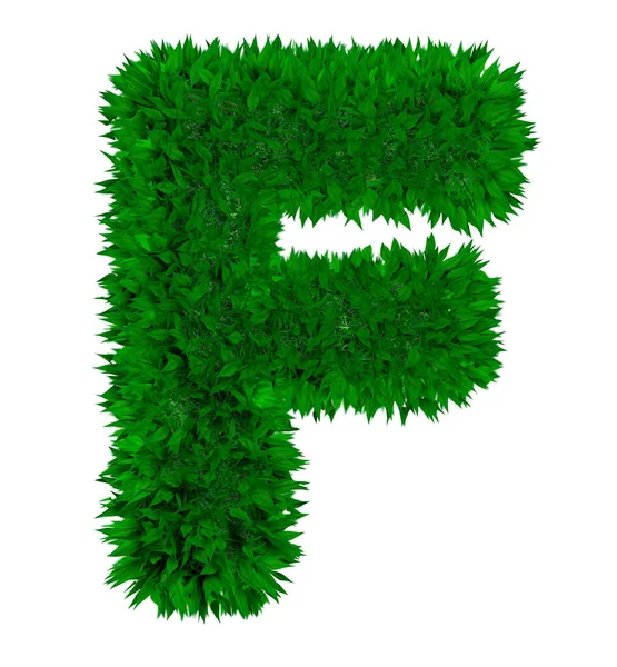 3d rendering lascia font alfabeto inglese. Lettere vegetali natura decorativa. Concetto ecologico — Foto Stock