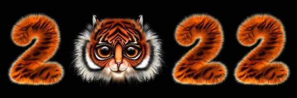 Иллюстрация Тигра Китайскому Новому Году Пушистых Букв Лица Тигра Концептуальный — стоковое фото