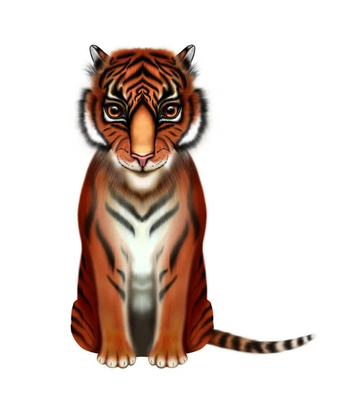 Illustration of a beautiful tiger with big eyes.The 2022 symbol is isolated on a white background. Drawing with realistic fur. — Stock Photo, Image