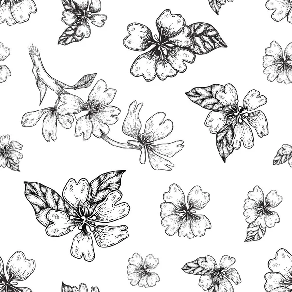 Dessin à la main d'une fleur de poire. Vintage floral ligne art motif sans couture. — Image vectorielle