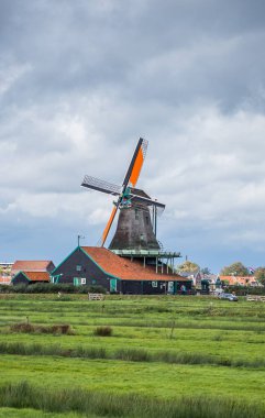 Hollanda 'nın Zaanse Schans, Hollanda' daki tarım arazilerinden dönen yel değirmenleri