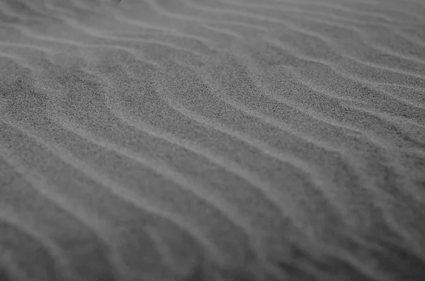 Beach çöl siyah ve beyaz arka plan kum dalgalı desende