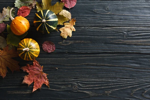 Fond d'automne avec citrouilles et feuilles — Photo