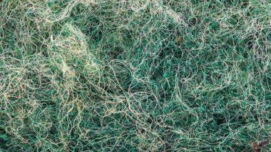 yeşil süngerimsi dokunun makro görünümü