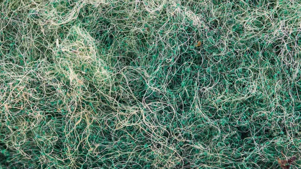 yeşil süngerimsi dokunun makro görünümü