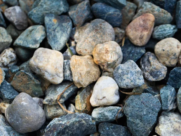 Kamienie Trawa Rozrzucone Ziemi Teksturowane — Zdjęcie stockowe