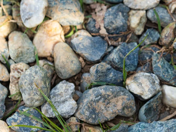Piedras Esparcidas Por Suelo Con Hojas Hierba Texturizadas — Foto de Stock