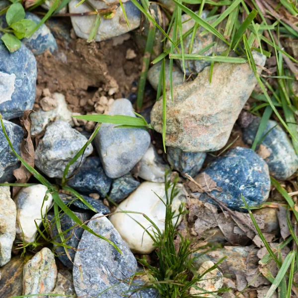 Кольорові Камені Різних Форм Кольорів Розкидані Землі Серед Лопатей Трави — стокове фото